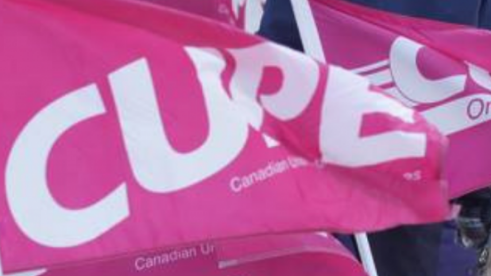 CUPE flags, pink and white